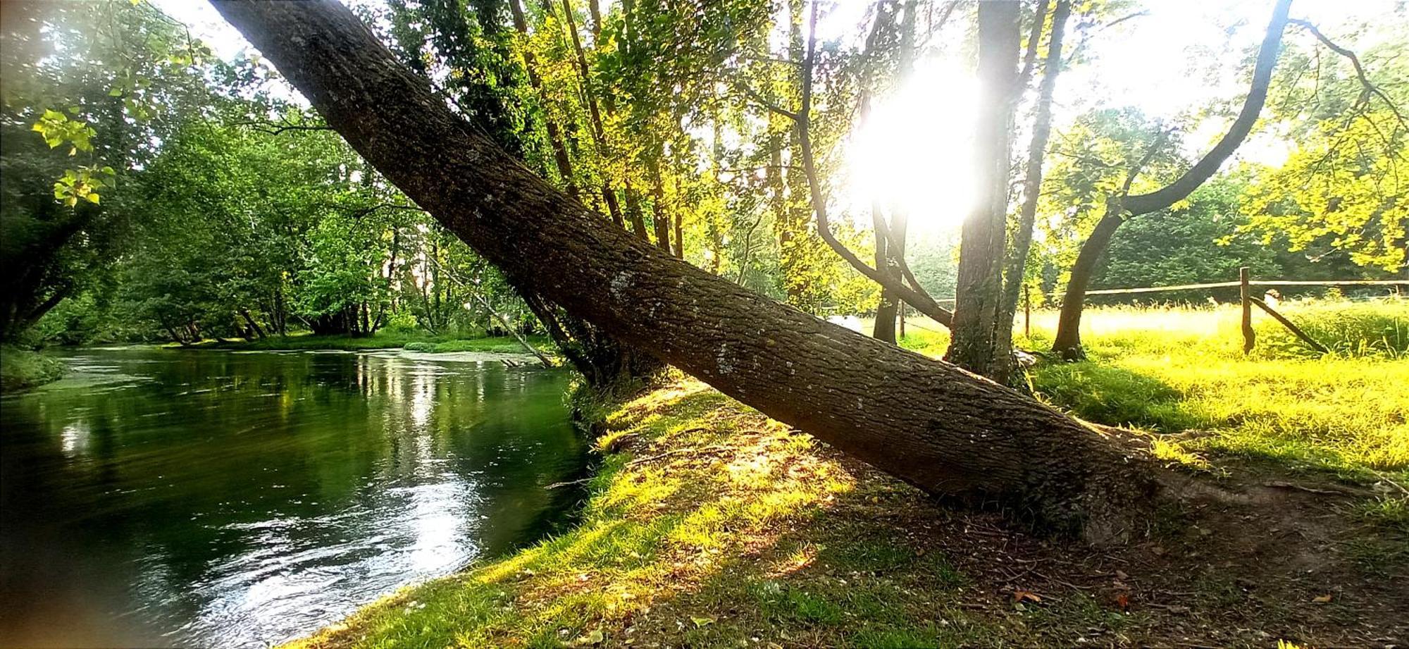 La Regina Del Bosco Βίλα Rivignano Εξωτερικό φωτογραφία