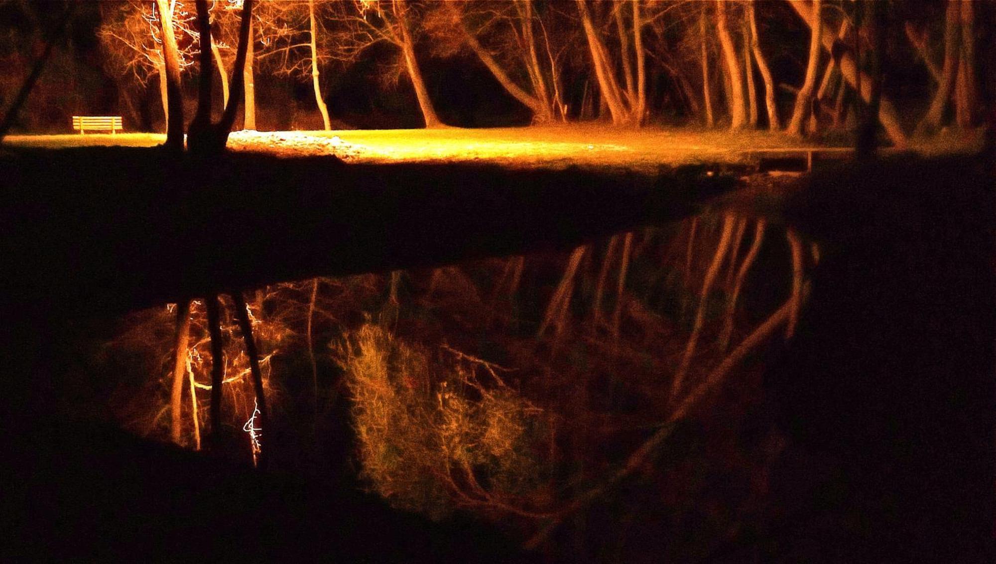 La Regina Del Bosco Βίλα Rivignano Εξωτερικό φωτογραφία
